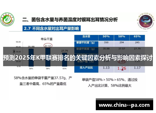 预测2025年K甲联赛排名的关键因素分析与影响因素探讨